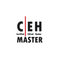 Certified IoT Professional MASTER